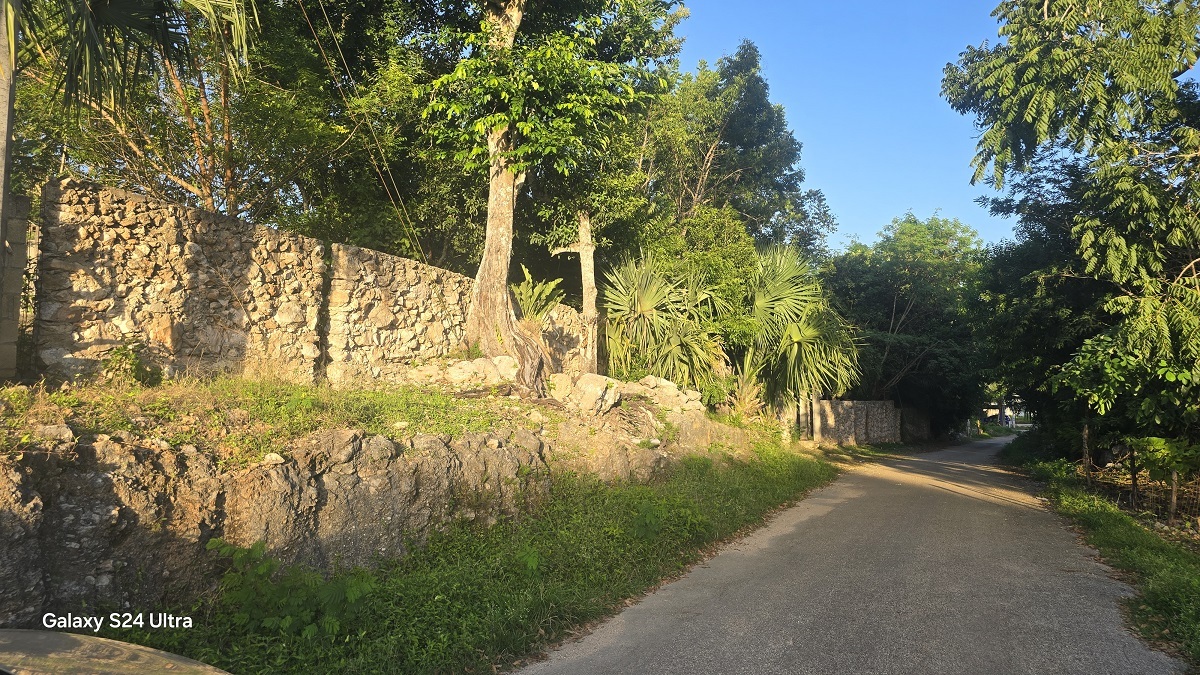 5 of 12: Lado sur del predio