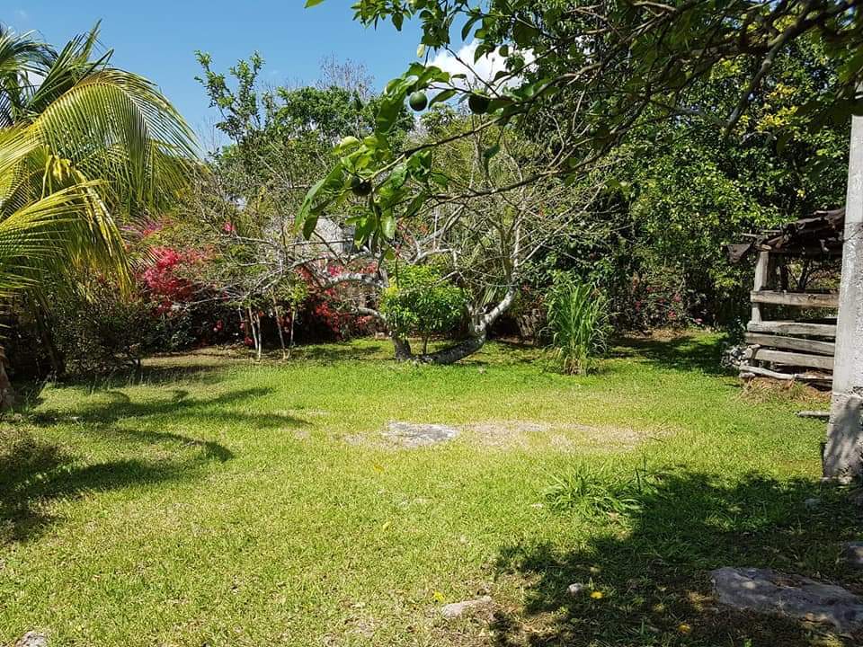 7 of 12: Parte por dentro de la propiedad