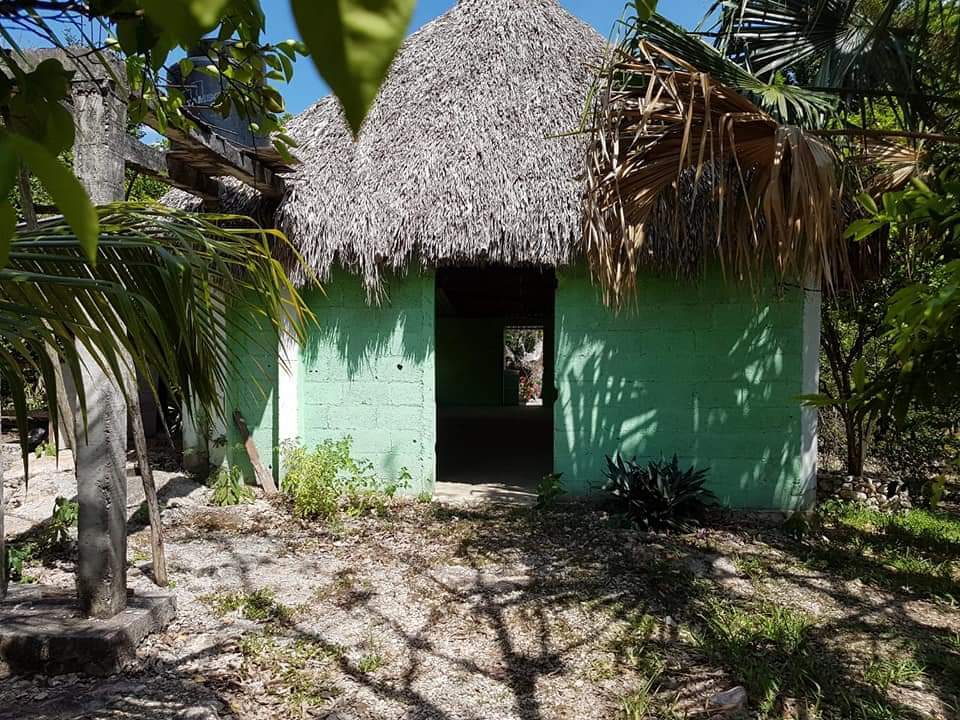 10 of 12: Casa bodega en la propiedad