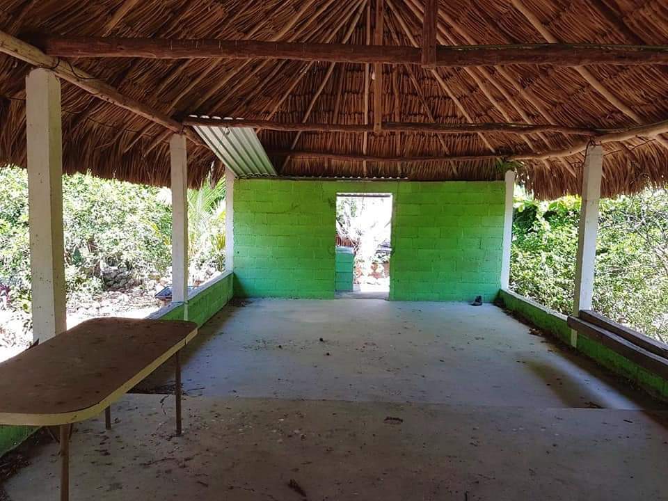 9 of 12: Palapa con techo de palma de guano