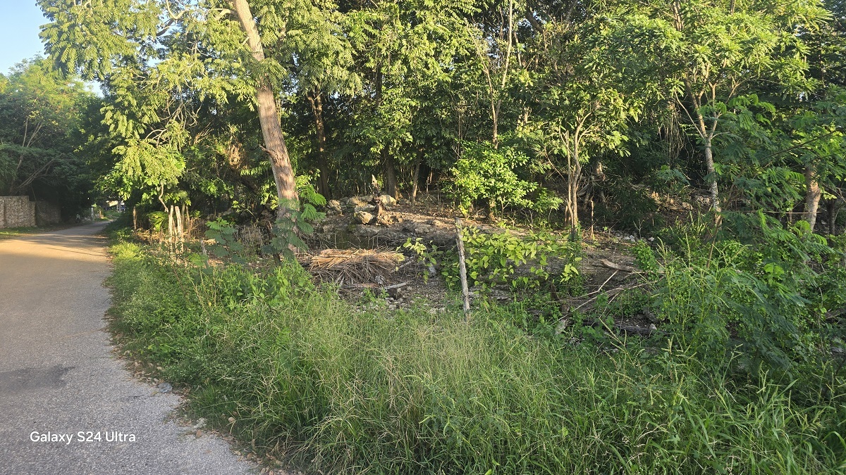 1 de 4: Vista de la esquina norte de la propiedad