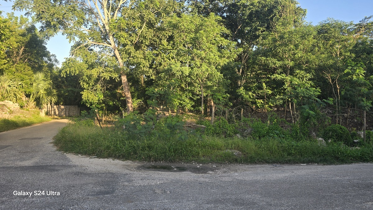 2 de 4: Esquina de la propiedad entre el poniente y el norte del pre