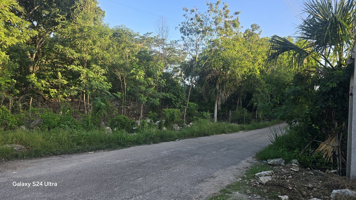 3 de 4: vista del lado Poniente de la propiedad