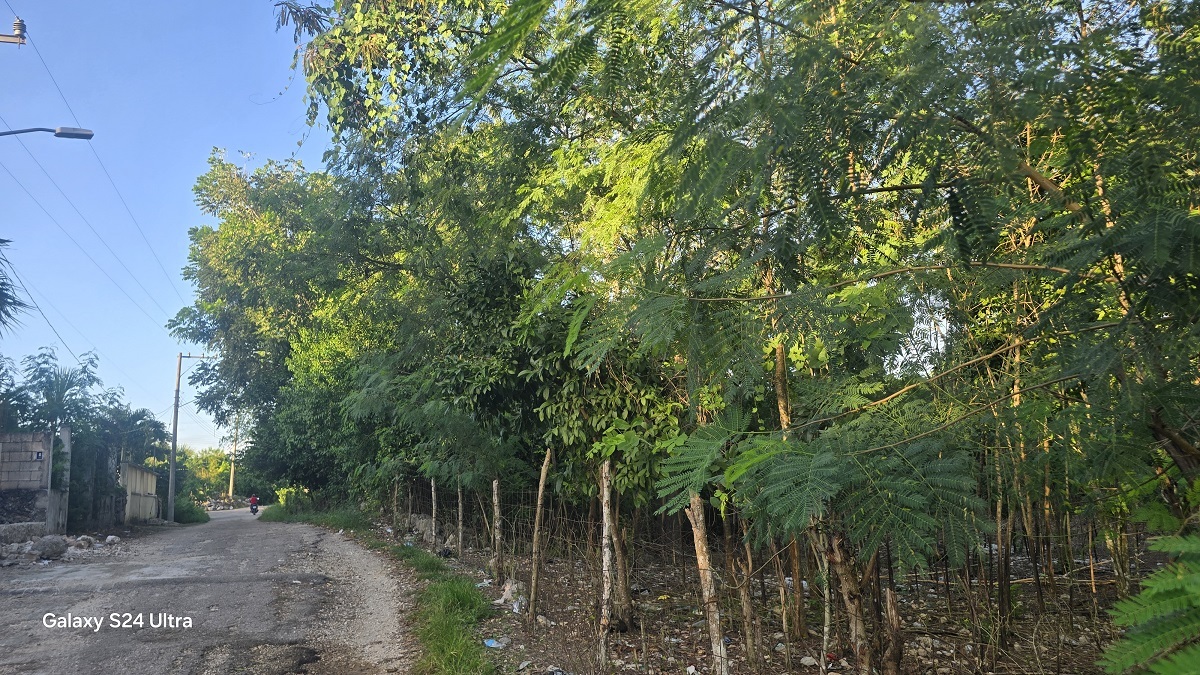 4 de 4: Lado que sale a la carretera pavimentada