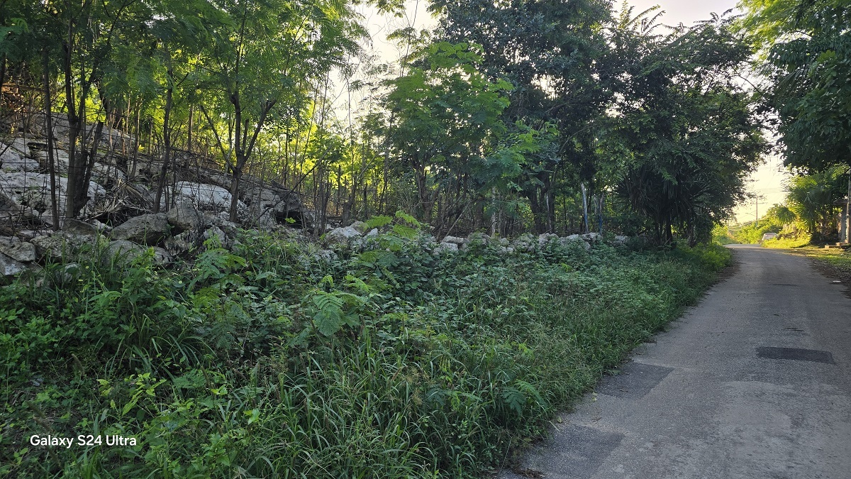1 of 4: Vista del frente del terreno, se aprecia la calle pavimentad
