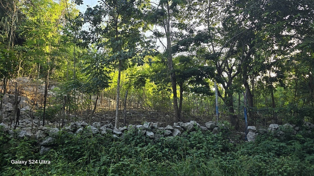 2 of 4: Otra vista del predio, se aprecia la albarrada