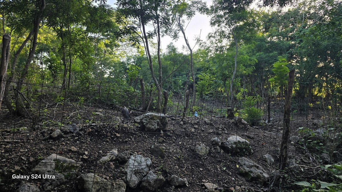 3 of 4: Una parte por dentro del predio