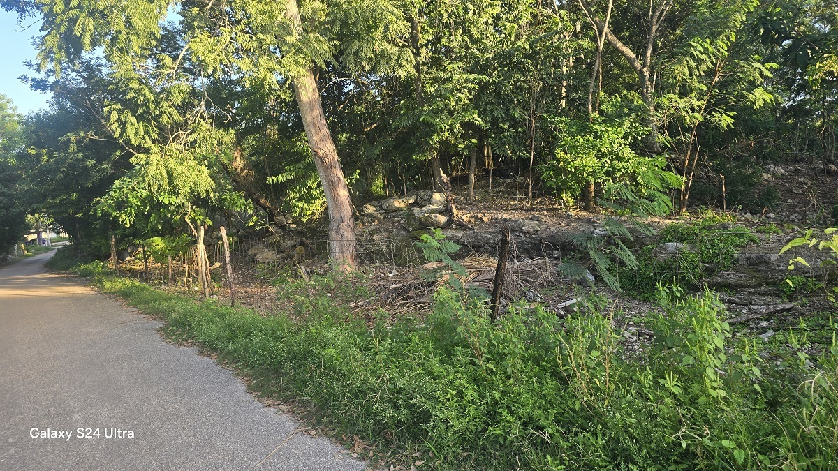 4 of 4: Otra vista de la calle del predio