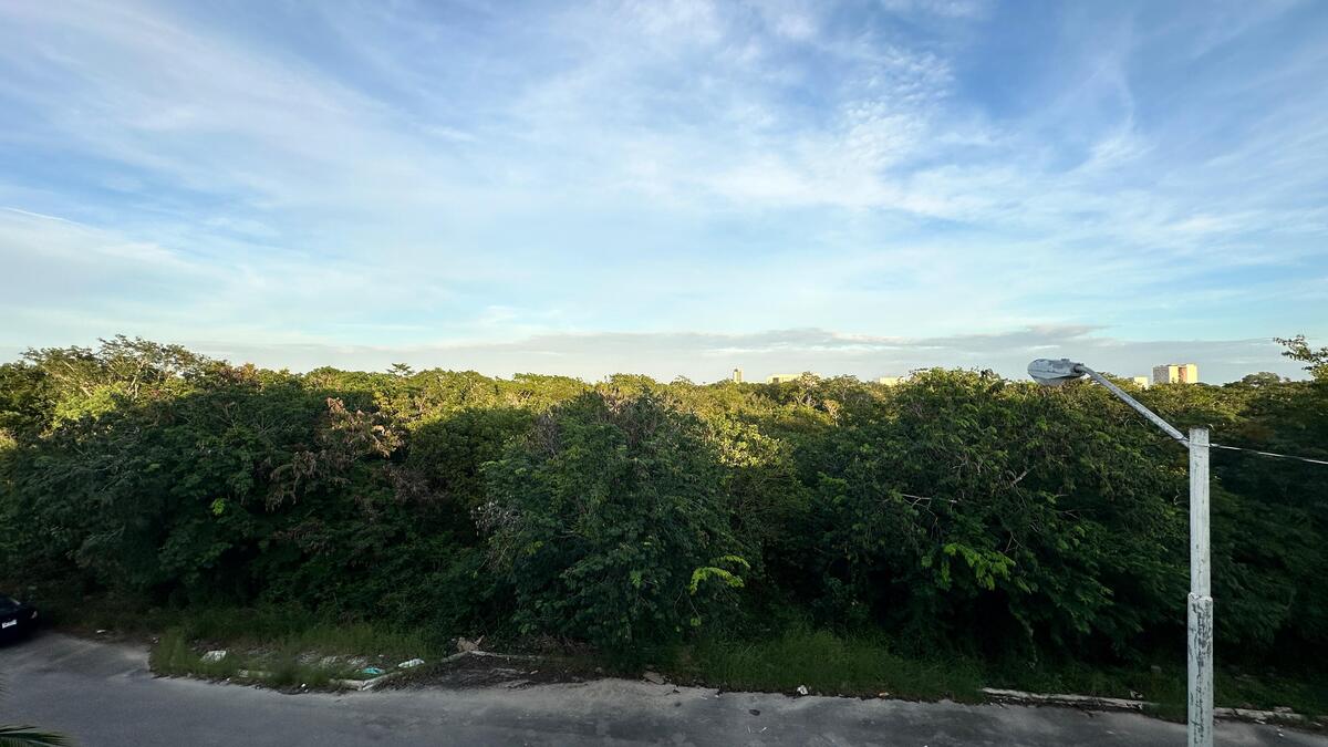 40 de 40: Vista frontal