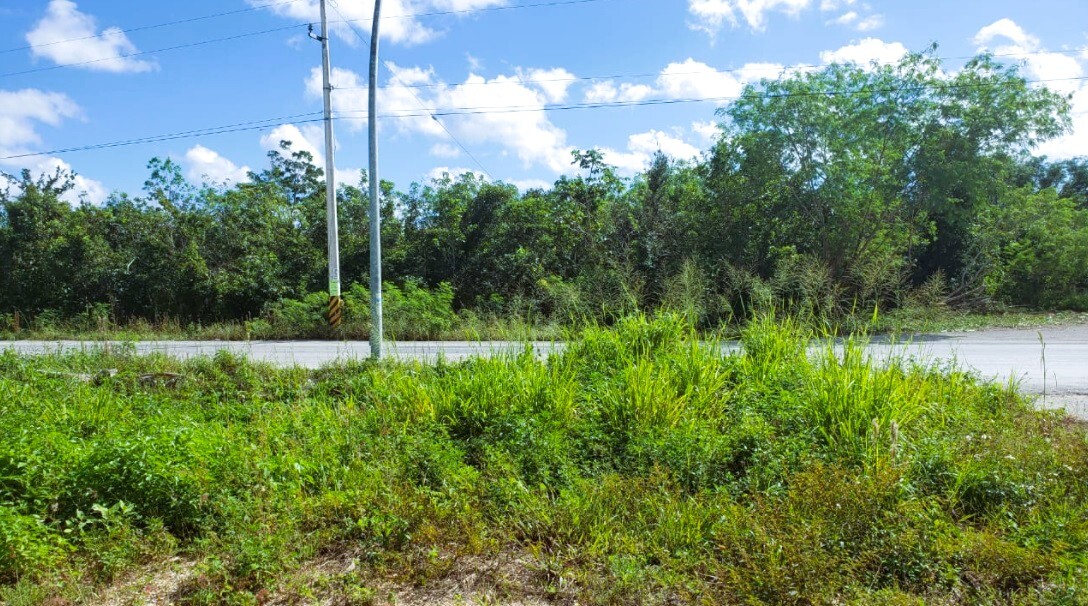 3 of 12: LOTE EN VENTA AV HUAYACAN