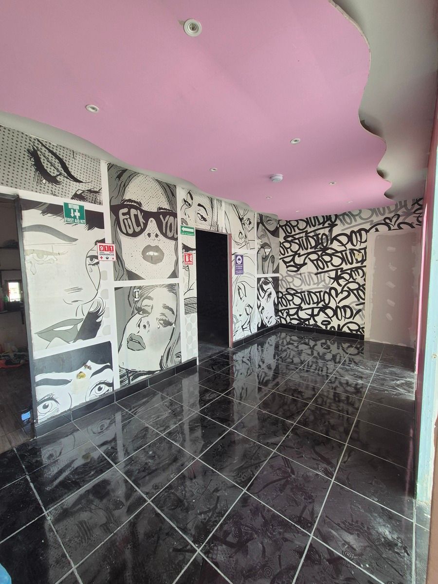 5 de 13: Se entrega pintado de blanco