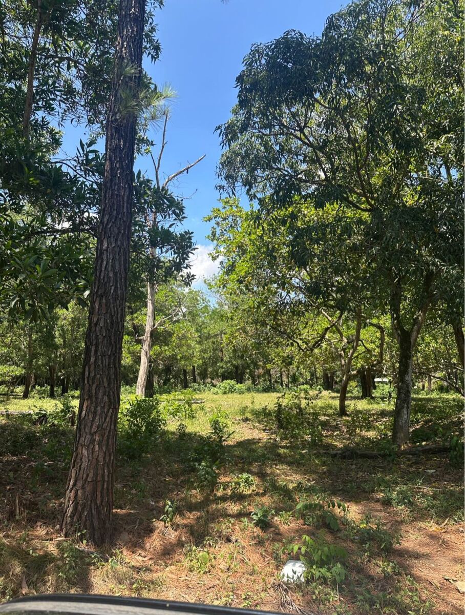 Terrenos en Venta Santo Domingo Centro (Distrito Nacional), Santo Domingo