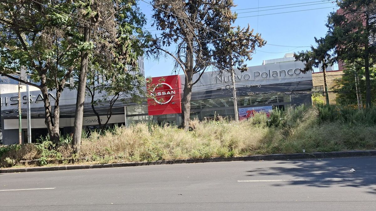 11 de 12
