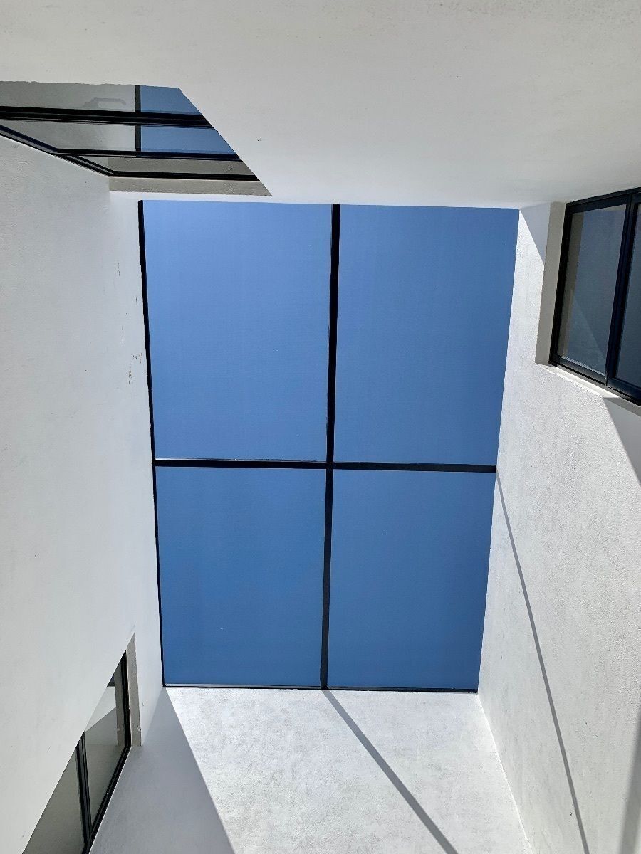 22 of 31: Mosquitero central en jardin intermedio