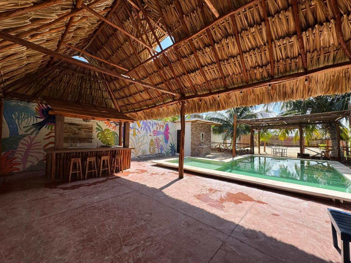 1 of 43: Terraza con bar y palapa