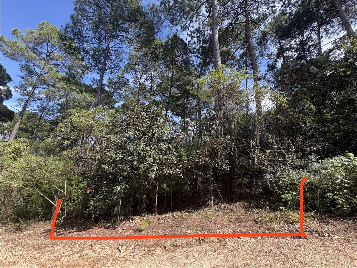 2 of 7: Frente del terreno