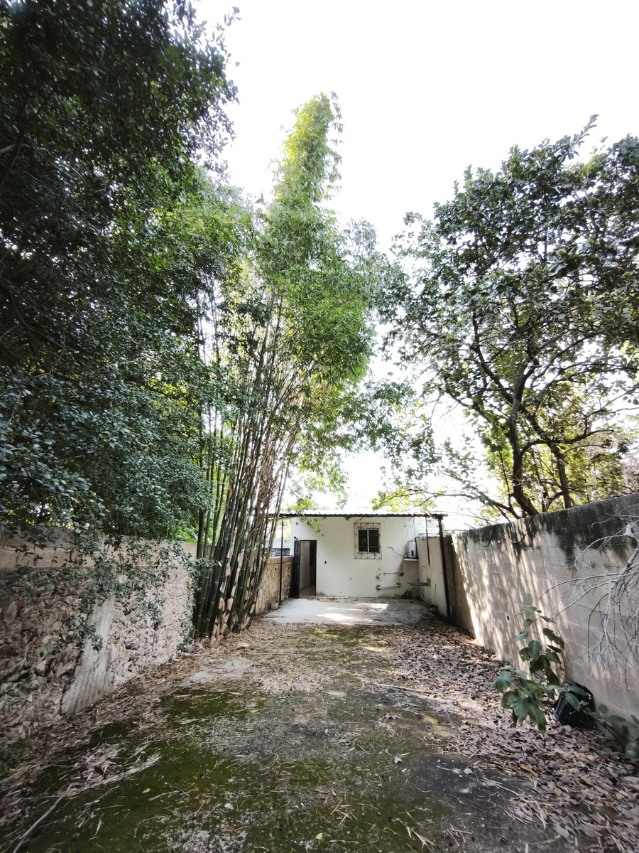 9 of 12: Patio Vista 2