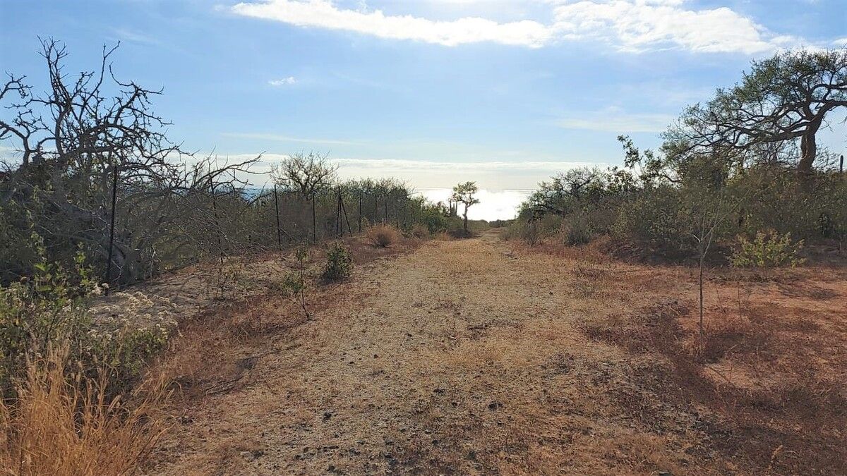 4 de 12: Vistas Atardecer