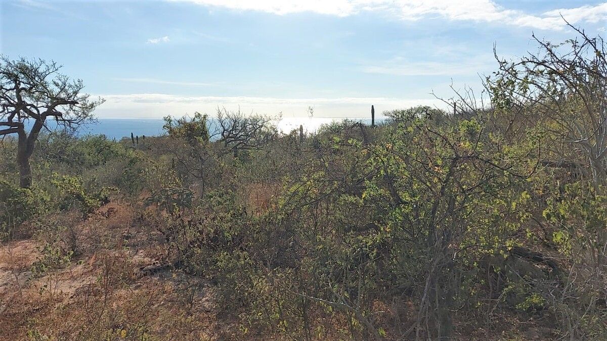 5 de 12: Lote y vistas