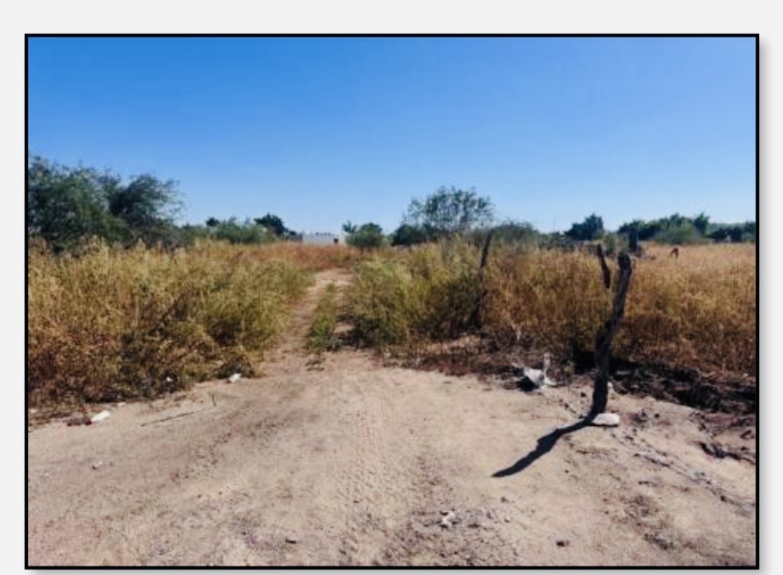 2 of 6: CALLE LATERAL