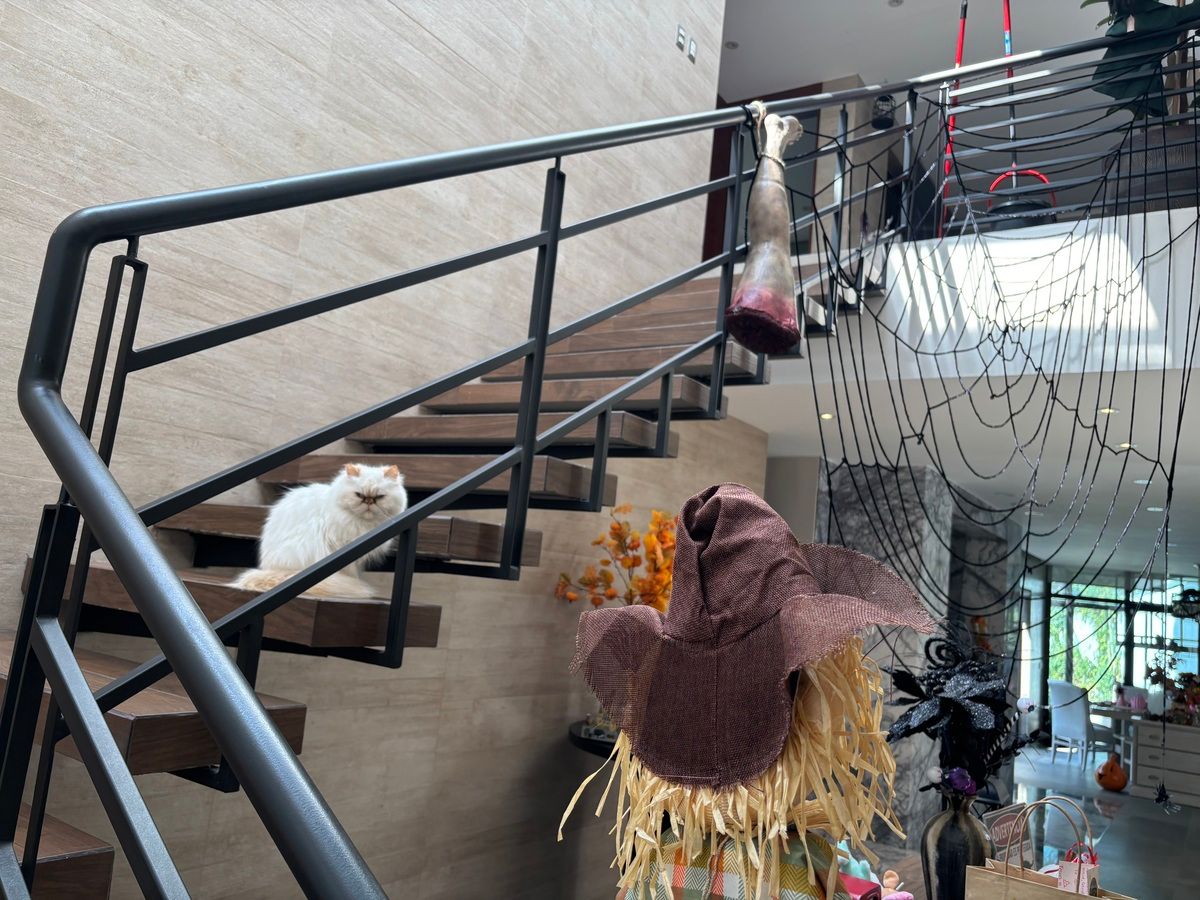 10 de 18: Casa en Venta en Fuentes del Pedregal Rayo Vende ®