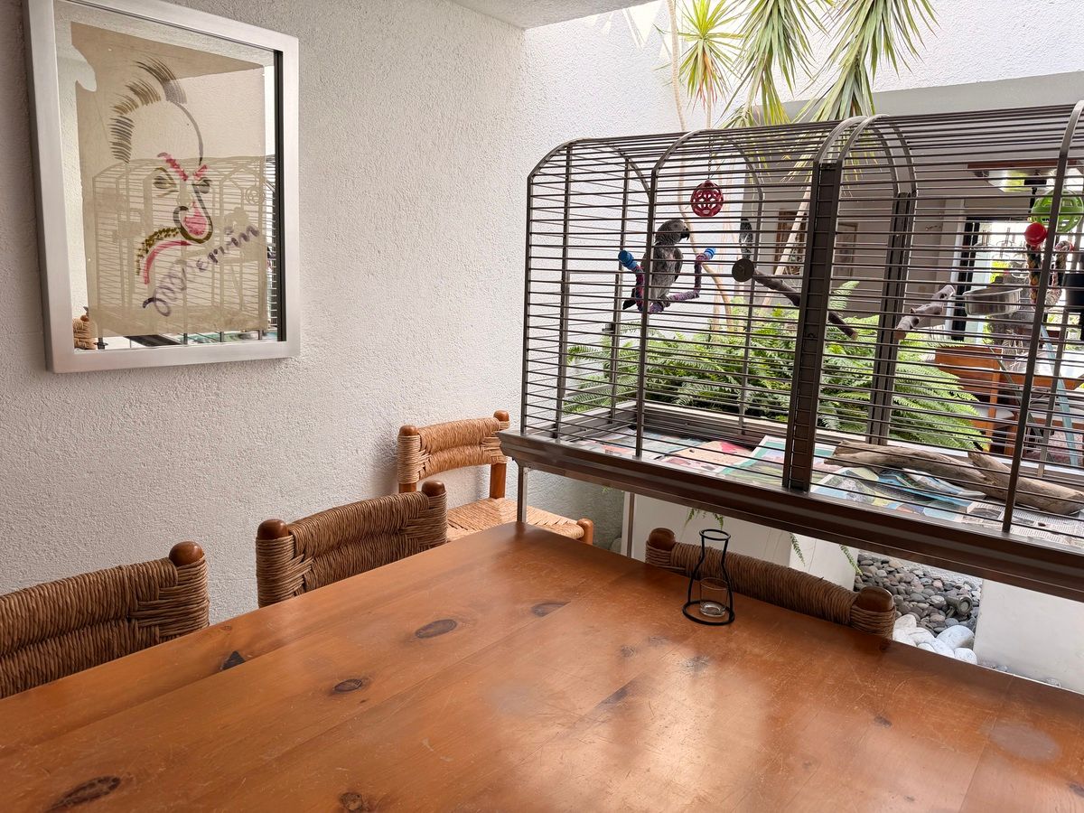 32 de 49: Las Haciendas, Barranca de Tarango 80