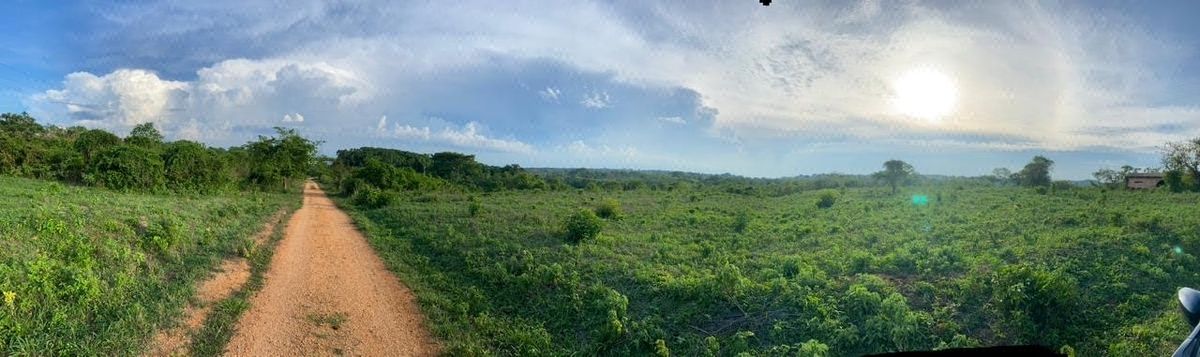 Rancho en Venta en Veracruz