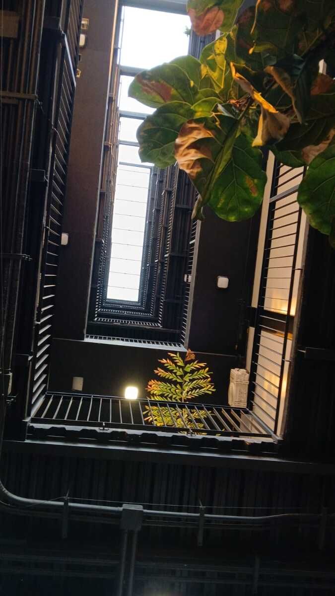 Departamento en Ladrón de Guevara, Guadalajara, foto 22 de 28