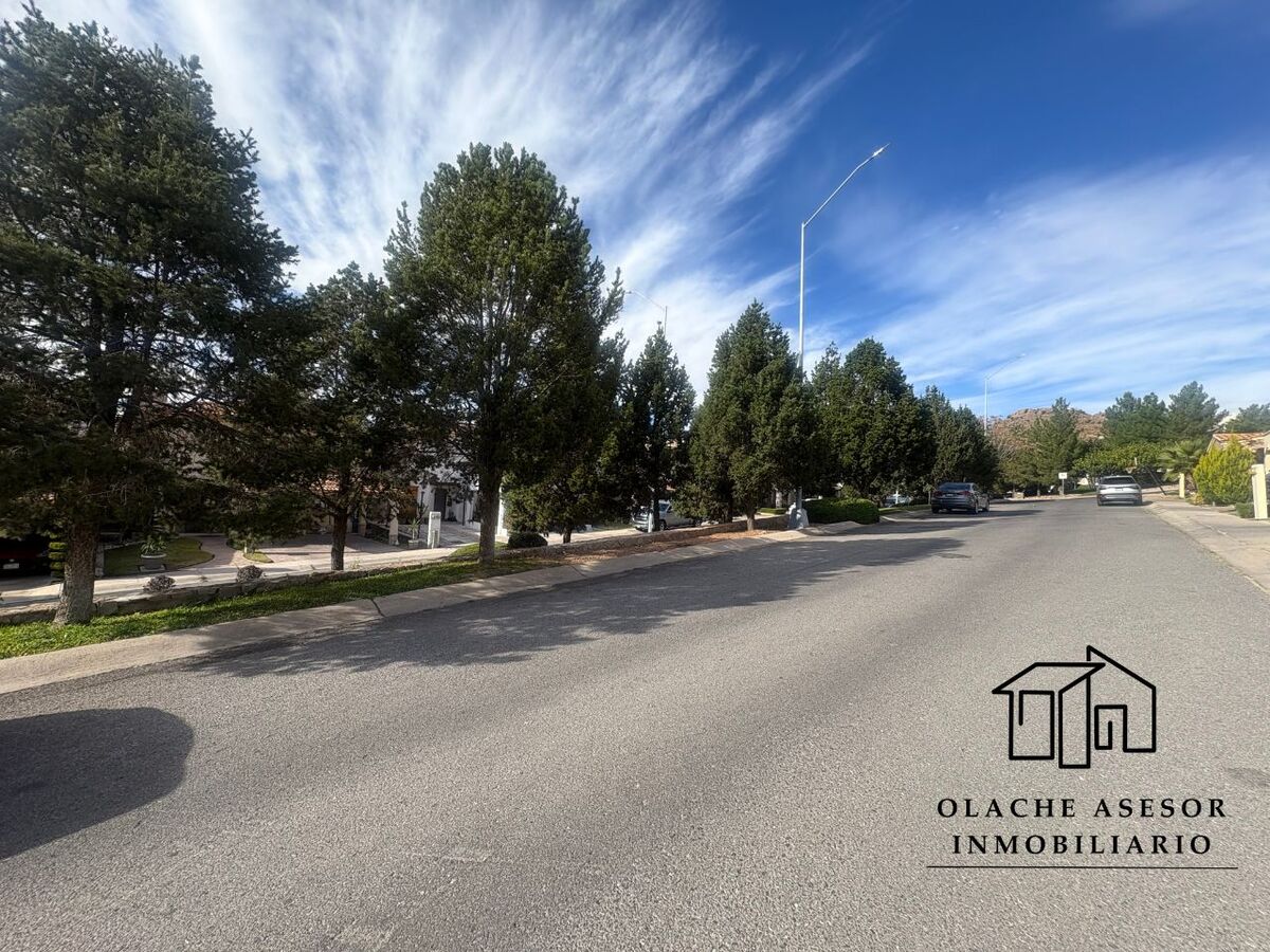 1 of 5: FRENTE A CAMELLON