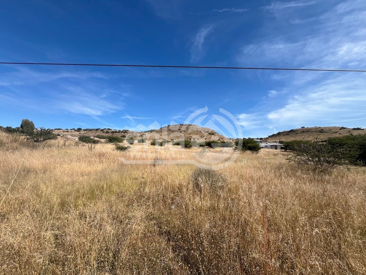 Terreno en Venta. Carretera Parral