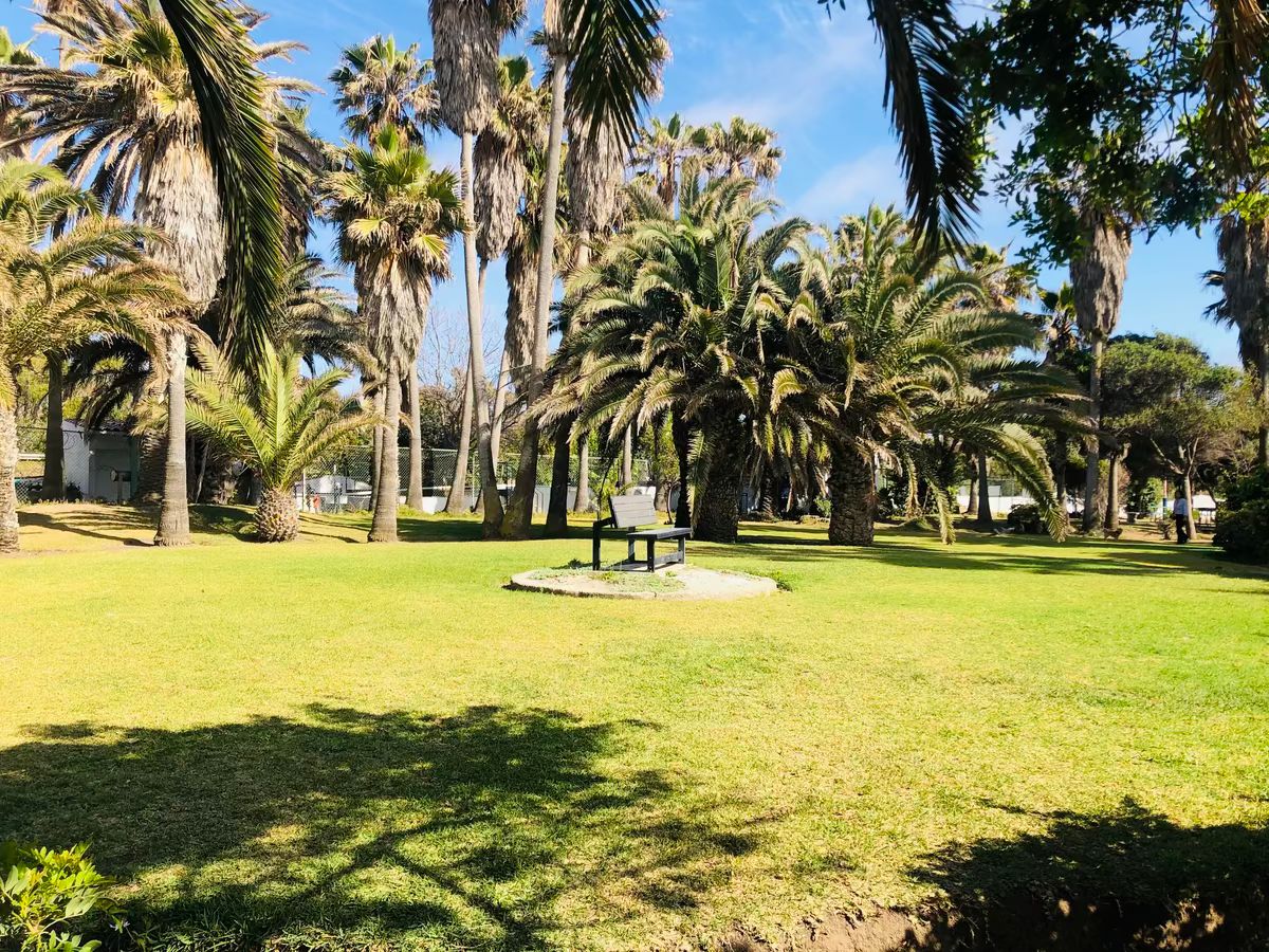 31 of 36: Areas verdes