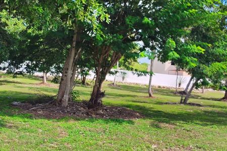 Lotes prontos para entrega, a partir de $650 mil em Merida Norte com todos os serviços.