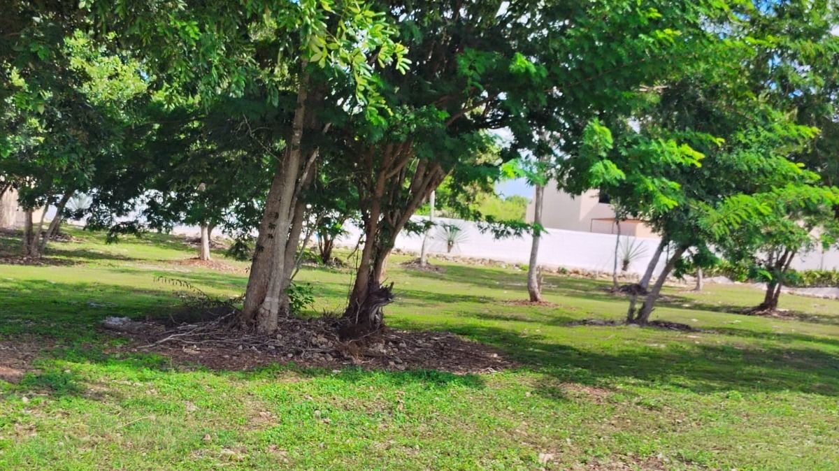 Lote em Quintas Baspul, Chicxulub Pueblo, foto 3 de 17