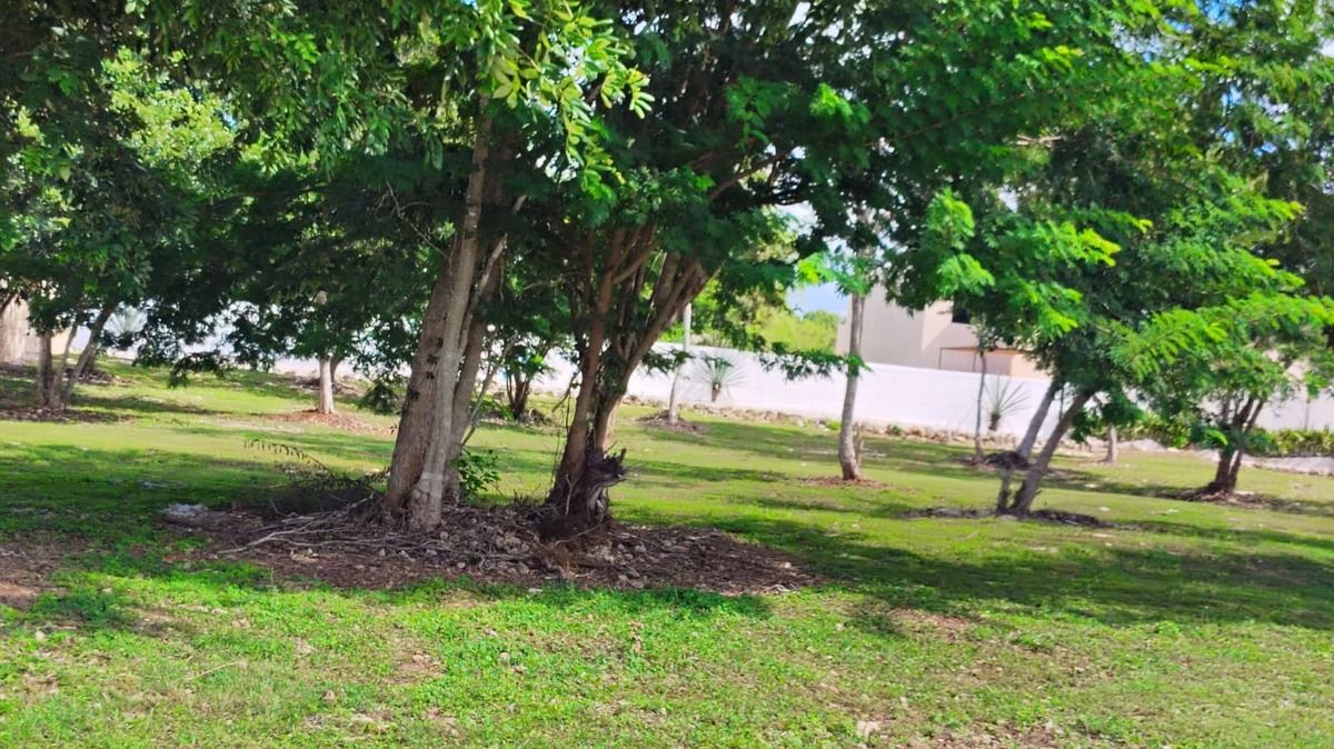 Terreno en Quintas Baspul, Chicxulub Pueblo, foto 17 de 17