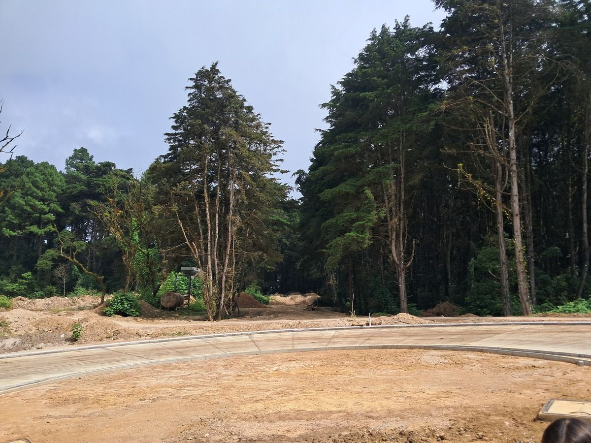 1 de 7: Entorno boscoso único en Guatemala