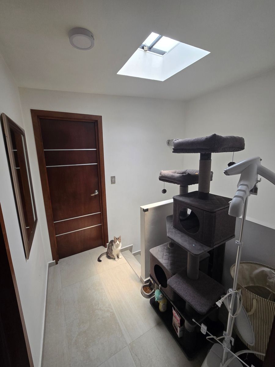 11 de 16: Cubo de escaleras