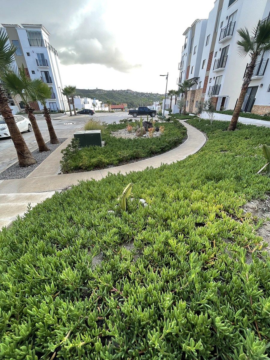Áreas verdes comunes, foto 20 de 43