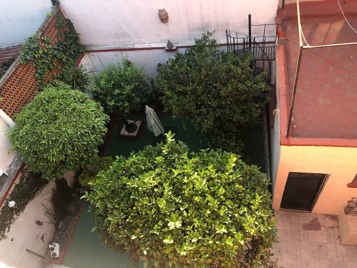 19 de 22: VISTA AL JARDÍN  Y CUARTO TRASERO CON BAÑO