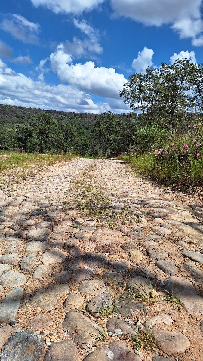 Terreno en Huimilpan Centro, Huimilpan, foto 17 de 24