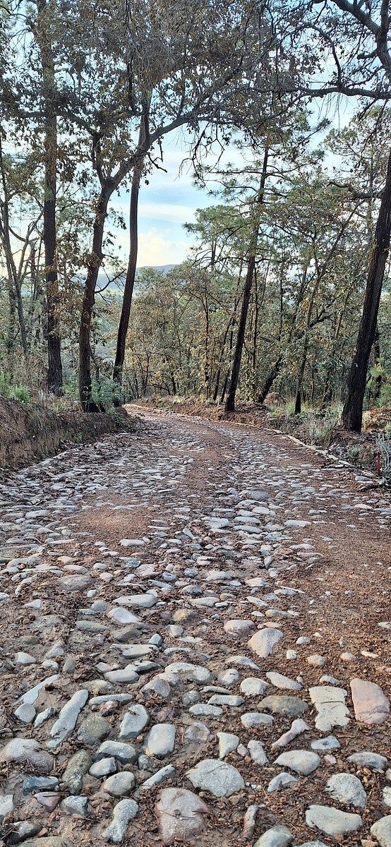Terreno en Huimilpan Centro, Huimilpan, foto 19 de 24
