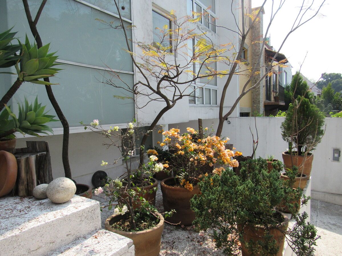 26 de 26: Casa en Venta en Club de Golf México Rayo Vende ®