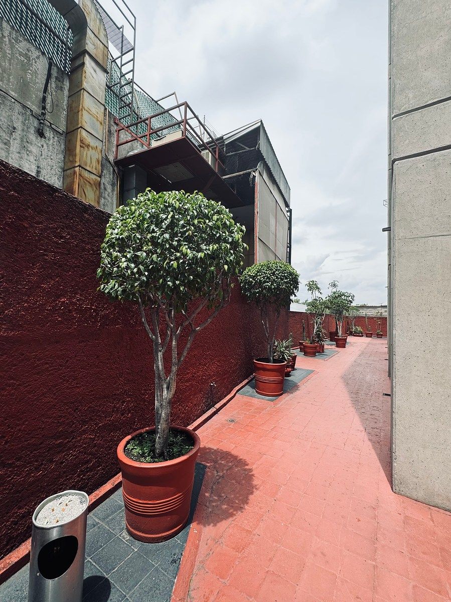 Sala Comercial em Ciudad Satélite, Naucalpan de Juárez, foto 5 de 33