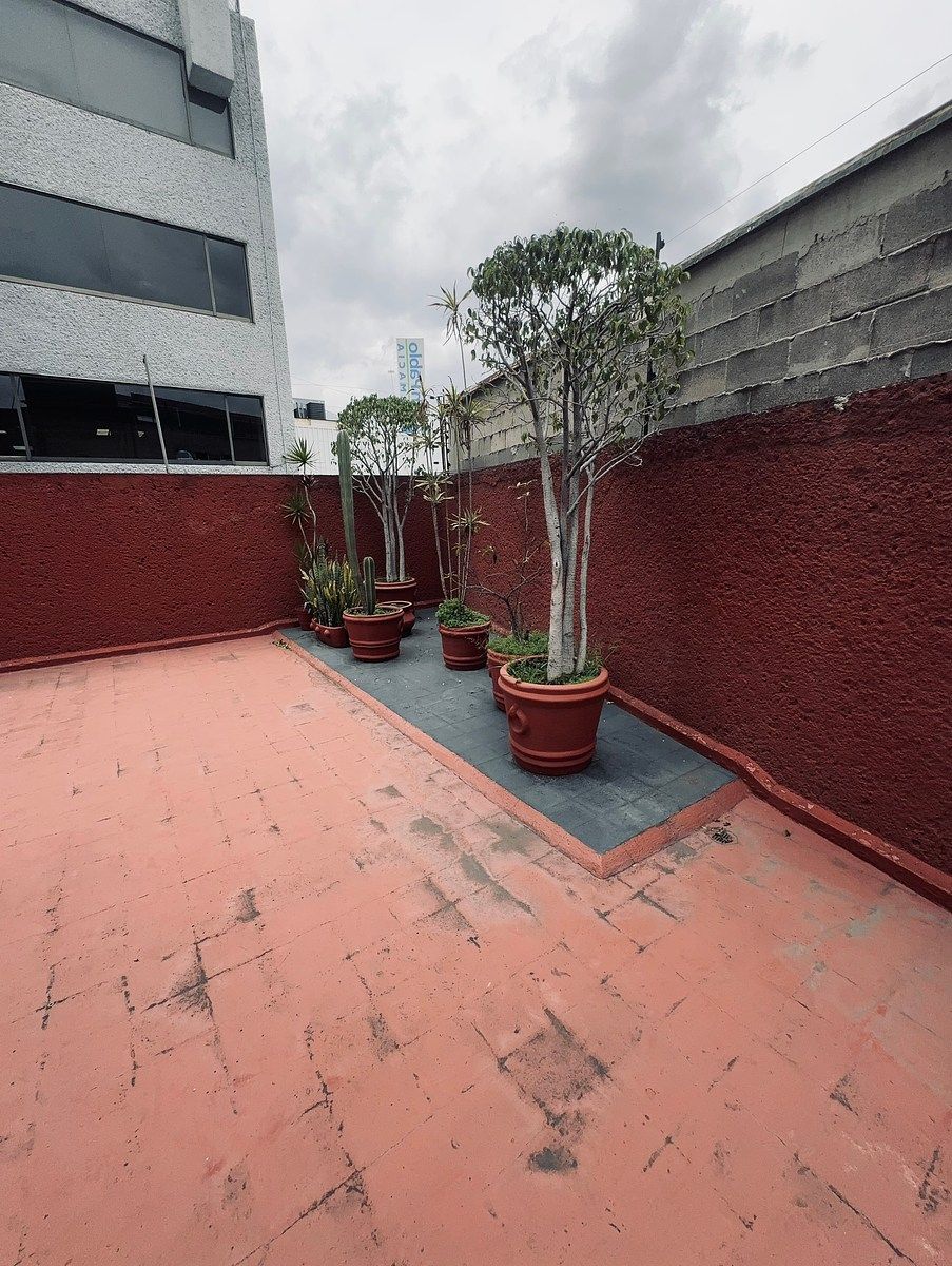 Sala Comercial em Ciudad Satélite, Naucalpan de Juárez, foto 12 de 33