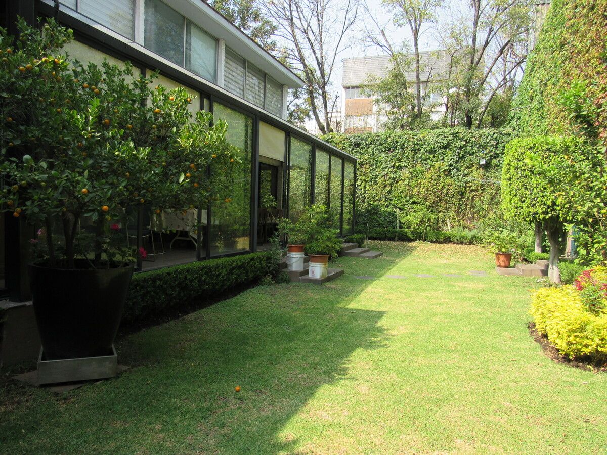 7 de 16: Casa en Renta en Del Carmen Coyoacán Rayo Vende ®