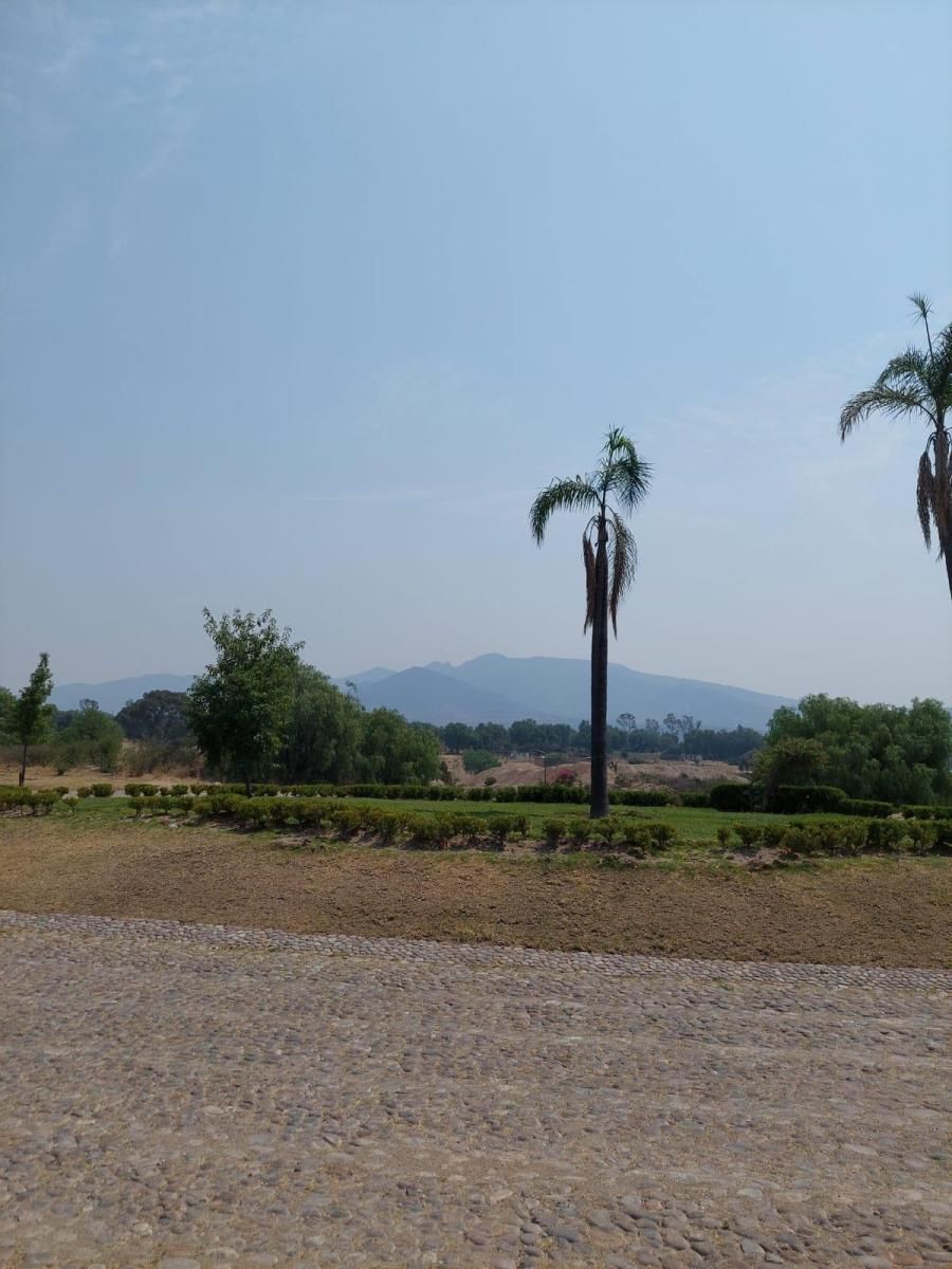 9 de 10