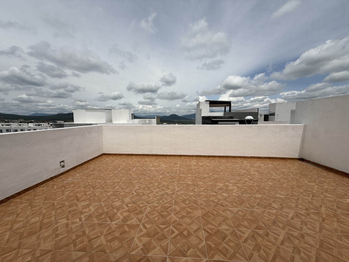 19 of 26: Roof garden.