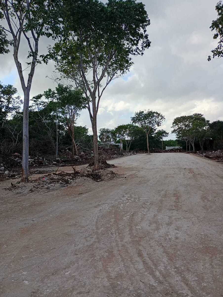 11 of 12: Avance de Obra