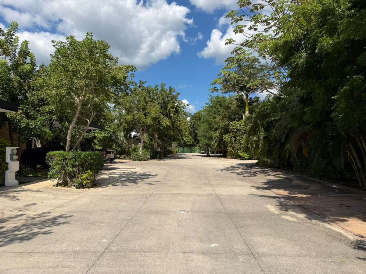 14 of 16: Vialidades