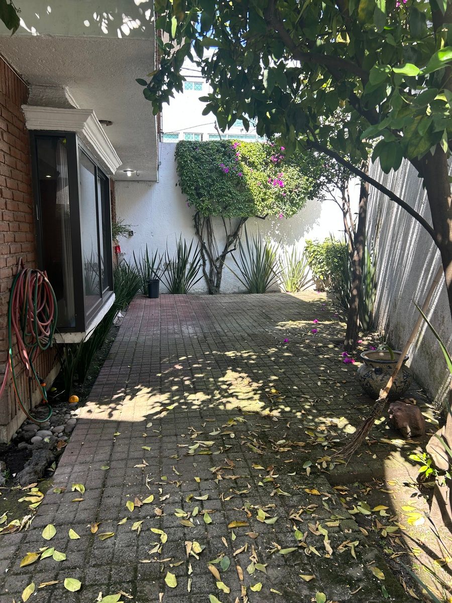 8 de 36: Terraza trasera