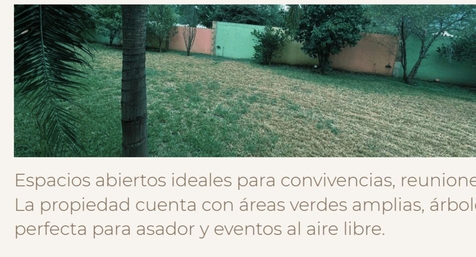 5 de 15